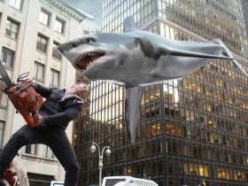 A ordem correta para assistir aos filmes de Sharknado