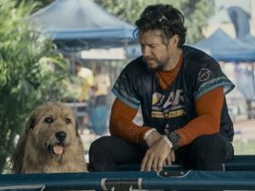 Arthur The King, de Mark Wahlberg, pode ser um sucesso de bilheteria em formação