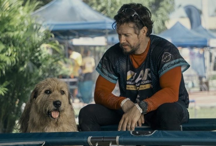 Arthur The King, de Mark Wahlberg, pode ser um sucesso de bilheteria em formação