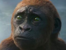 Godzilla e Kong, o diretor revela as diferenças entre Baby Kong e Baby Yoda: "Bonito, mas tome cuidado..."