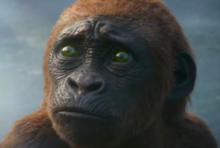 Godzilla e Kong, o diretor revela as diferenças entre Baby Kong e Baby Yoda: "Bonito, mas tome cuidado..."