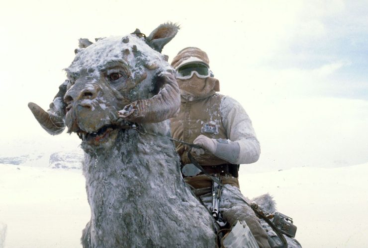 Mark Hamill e uma co-estrela de Star Wars uma vez roubaram cavalos do set para se divertir