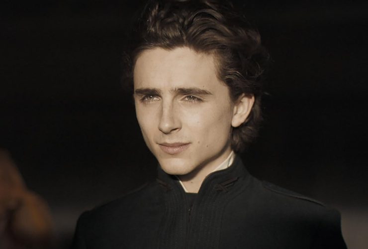 Timothée Chalamet vê uma ‘grande ironia’ em trabalhar com Denis Villeneuve em Dune