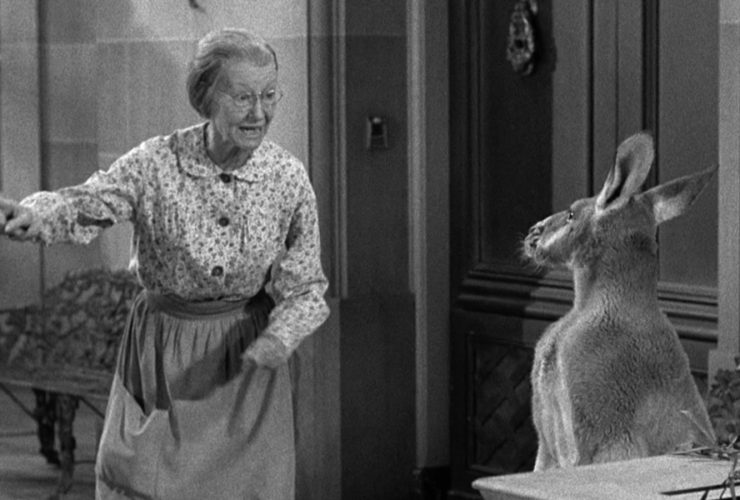 Um episódio de Beverly Hillbillies atingiu um recorde de sitcom dos anos 60, apesar da aversão dos críticos