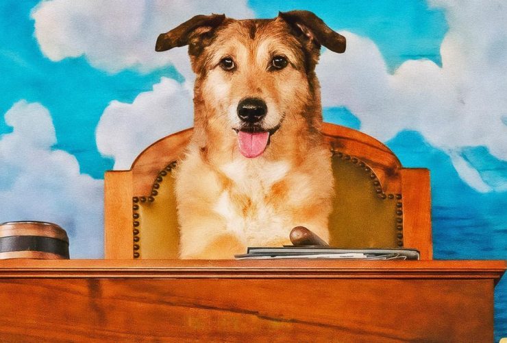 Dog on Trial, crítica: o idealismo de Laetitia Dosch para um filme em defesa da justiça