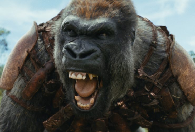 Kingdom Of The Planet Of The Apes domina as bilheterias do fim de semana com estreia de US$ 52-55 milhões