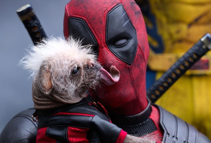 O amado animal de estimação de Deadpool, Dogpool, é interpretado pelo cachorro mais feio da Grã-Bretanha