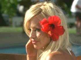 The Last Showgirl, Pamela Anderson na primeira imagem do filme de Gia Coppola