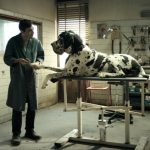 Dogman de Matteo Garrone retorna aos cinemas a partir de 27 de junho em versão estendida
