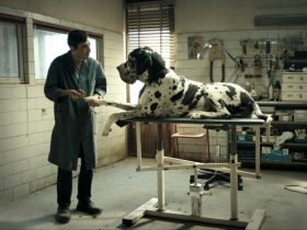 Dogman de Matteo Garrone retorna aos cinemas a partir de 27 de junho em versão estendida