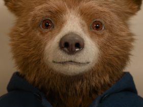 O trailer de Paddington no Peru oferece a Paddington uma aventura no estilo Indiana Jones