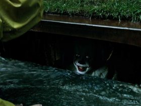 Stephen King criou Pennywise a partir de um conto infantil inocente