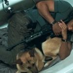 Will Smith: "Tentei adotar o cachorro de I Am Legend, mas não consegui".  Por que?