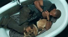 Will Smith: "Tentei adotar o cachorro de I Am Legend, mas não consegui".  Por que?