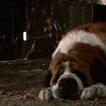 O verdadeiro ataque de cachorro que inspirou o Cujo de Stephen King