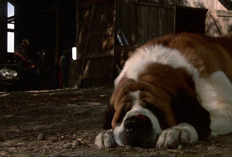 O verdadeiro ataque de cachorro que inspirou o Cujo de Stephen King