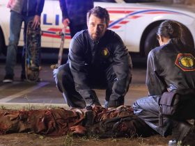TJ Thyne, de Bones, foi o método para o enredo da paralisia de Hodgins