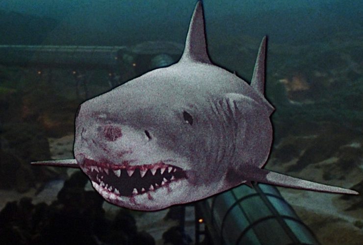 Jaws está retornando ao Netflix (sem a pior sequência)