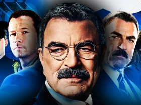 Blue Bloods wallpaper