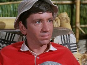 O que aconteceu com Bob Denver depois da Ilha de Gilligan?