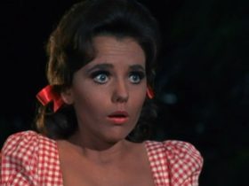 O que aconteceu com Dawn Wells depois da Ilha de Gilligan?