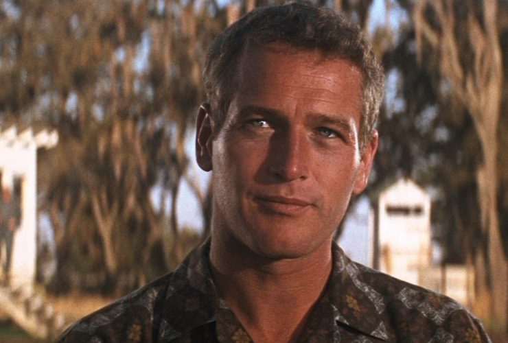 Os três filmes perfeitos de Paul Newman de acordo com o Rotten Tomatoes