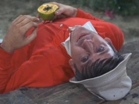 Sherwood Schwartz estava preocupado em escalar Bob Denver para Gilligan's Island