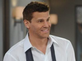 A verdadeira razão pela qual Bones teve tanto sucesso, de acordo com David Boreanaz