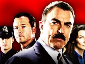 Blue Bloods wallpaper