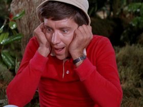 Filmes e programas de TV como Gilligan's Island, você definitivamente deveria conferir