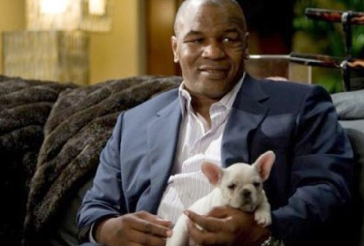 Mike Tyson não percebeu que iria filmar sua participação especial que redefiniu sua carreira na ressaca