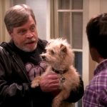 Simon Helberg e Mark Hamill tinham uma conexão especial antes da teoria do Big Bang