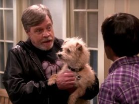 Simon Helberg e Mark Hamill tinham uma conexão especial antes da teoria do Big Bang