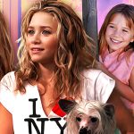 Por que Mary-Kate e Ashley Olsen desapareceram de Hollywood