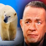 Tom Hanks, The Americas Polar Bear