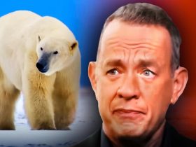 Tom Hanks, The Americas Polar Bear