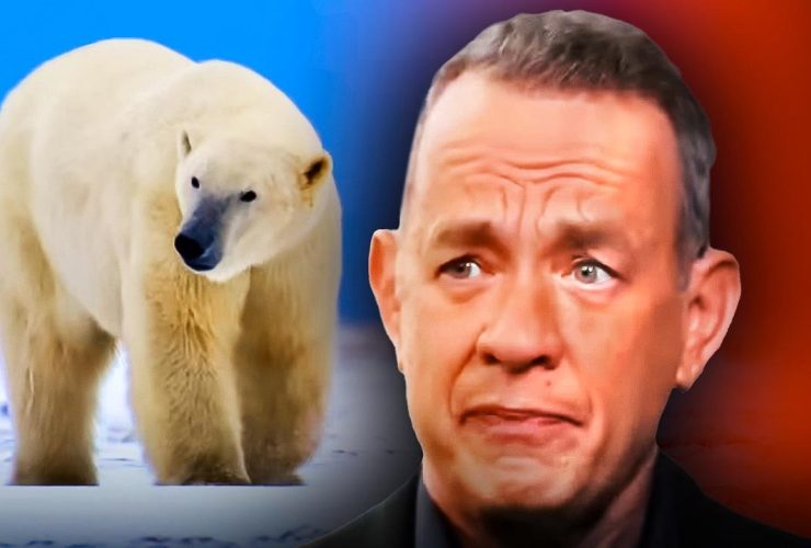 Tom Hanks, The Americas Polar Bear