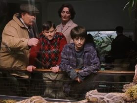 Harry Potter ainda pode falar com cobras após as Relíquias da Morte?