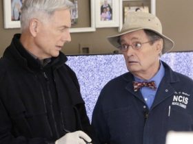 O Criador do NCIS ameaçou cancelar o programa por uma decisão de elenco