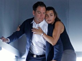 NCIS: Tudo o que sabemos sobre a série Tony Dinozzo e Ziva David