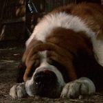 Stephen King Classic Cujo está recebendo uma segunda adaptação, desta vez na Netflix