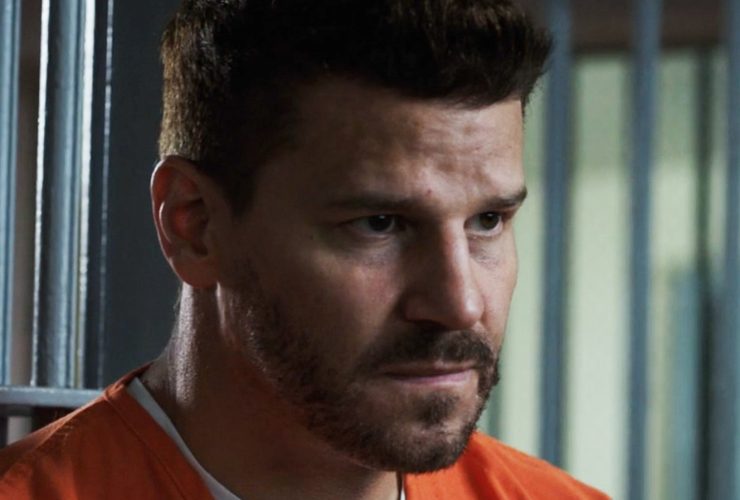 A estrela dos ossos David Boreanaz odiava um aspecto de interpretar o estande de Seeley