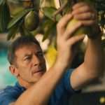 A fruta venenosa da 3ª temporada de Lotus branca é real?